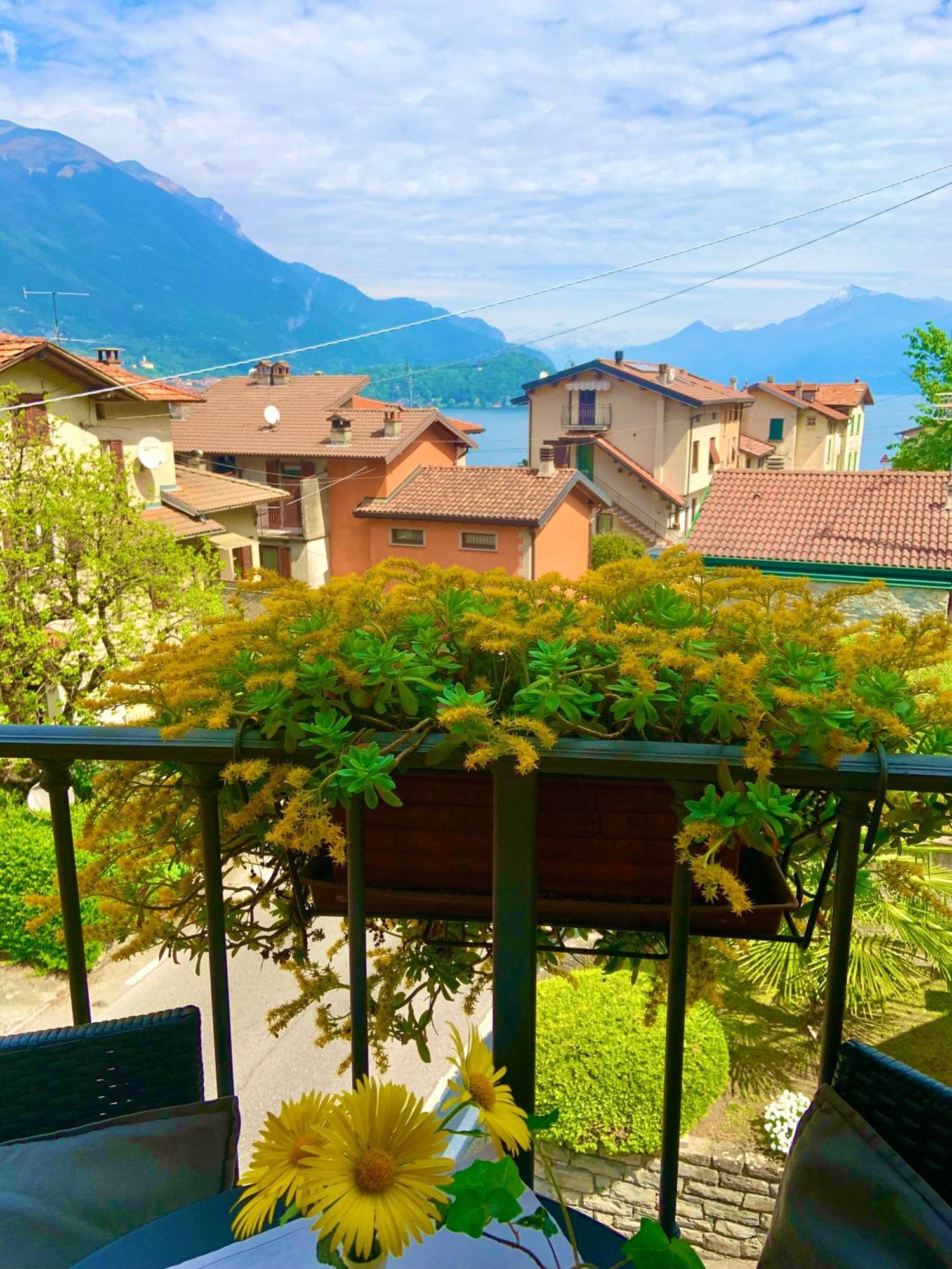 Il Gerlo Apartment Lezzeno Bagian luar foto